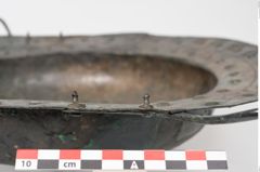 Foto von Bronzebreitrandschale (NHMW-PRAE-024512)